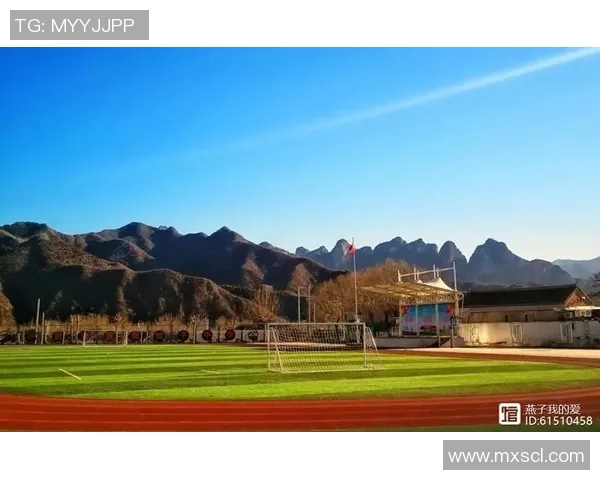 《从绿茵场到心灵深处：国足球星的成长与奋斗之路》