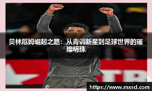 emc易倍体育官方网站